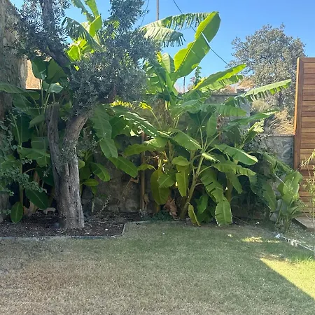 Toscana Yalikavak Sonsuz Havuz Lueks Villada Tatil Vila *