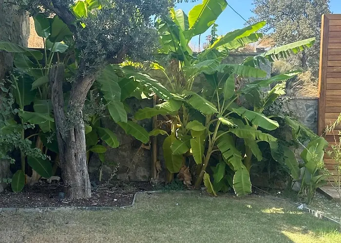 Toscana Yalikavak Sonsuz Havuz Lueks Villada Tatil Villa *